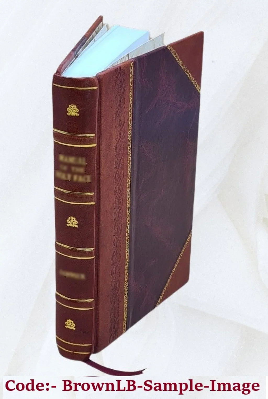 Volume v.01 1917 [Leather Bound]. Funʹm yarid