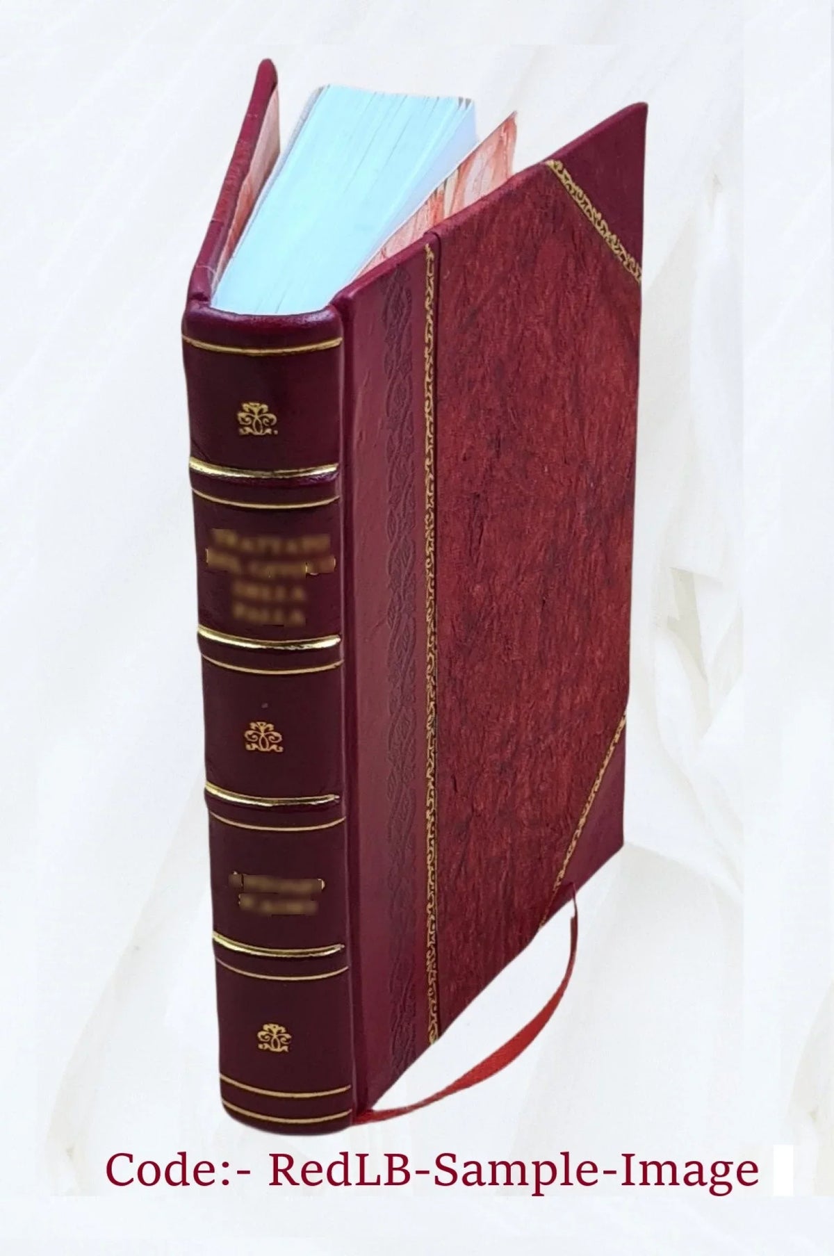 Volume v.2 1833 [Leather. v.2. Campe. Le nouveau Robinson : pour servir à l'amusement et à l'instruction des enfans de l'un et de l'autre sexe / ouvrage traduit de l'allemand de M