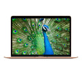 Macbook Air 13.3-inch (Retina, Gold) 1.1GHZ Quad Core i5 (2020) Laptop 128GB HD & 8GB RAM-Mac OS (Used)